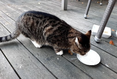 Erni beim trinken
